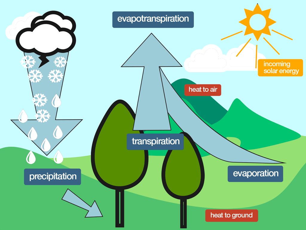 how-transpiration-relates-to-crop-irrigation-nafb